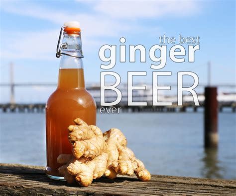 adding ginger to beer