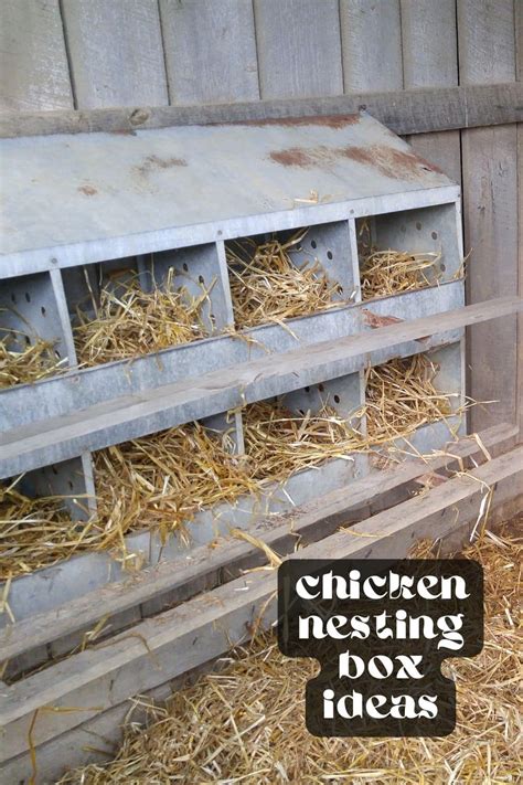 Adding Nesting Boxes To Chicken Coop