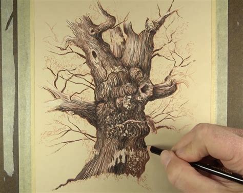 Adding shadows and highlights to a tree drawing