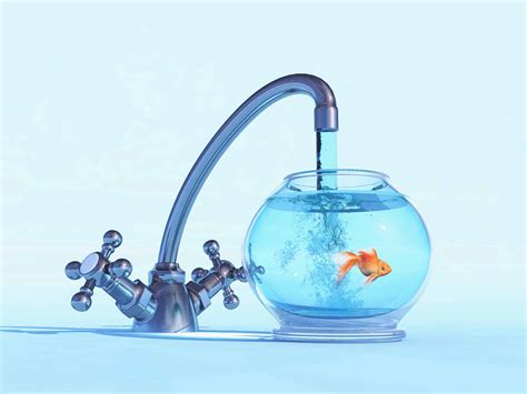 adding water in fish tank