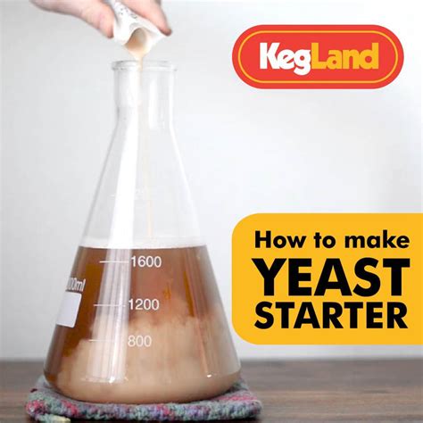 Adding Yeast To Starter