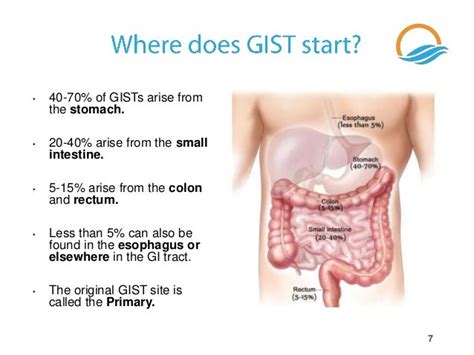 additional Side gist Of use stomach