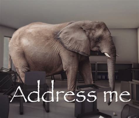 Address Me Elephant