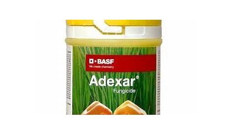 Adexar Fungicide Label Syngenta Daconil Weather Stik Flowable EBay