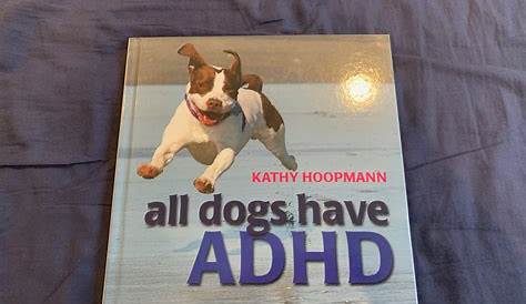 Adhd In Dogs Quiz Can Have Hyperactivity Disorder
