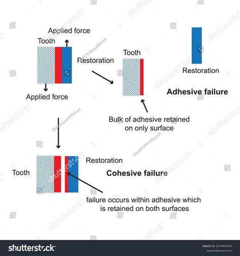Adhesion Failure Vs Cohesive Failure