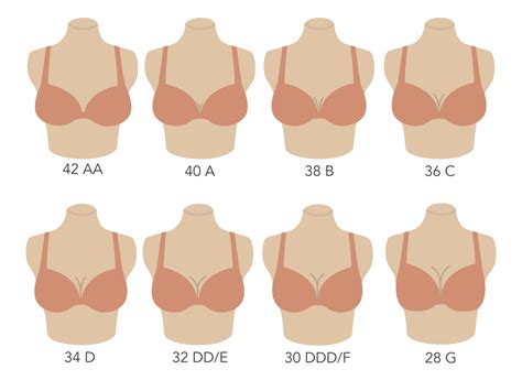 Adhesive Bra Size Chart