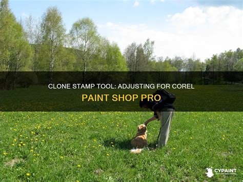 Adjust the Size of the Clone Stamp Tool