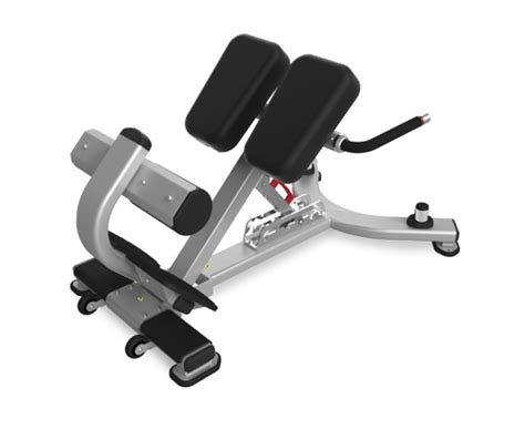 adjustable back extension