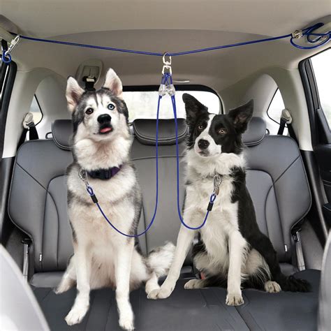 Adjustable Dog Car Leash
