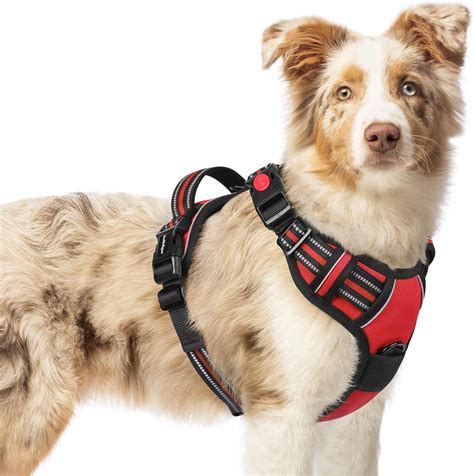Adjustable Dog Harness Uk