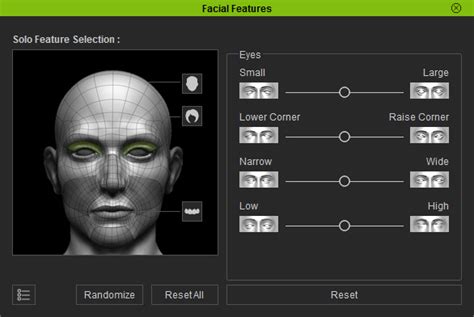 Adjusting Facial Features