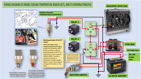 Adjusting My Ect Wiring Diagram