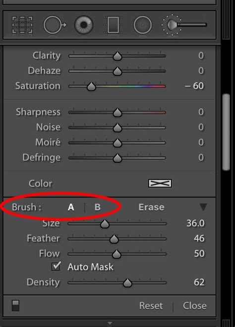 Adjustment Brush Tool in Lightroom