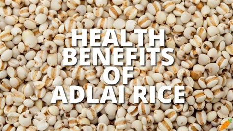 Adlai rice grains
