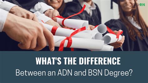 adn bsn difference