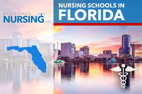 adn nursing schools in florida