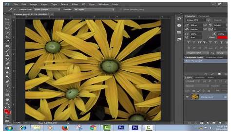 Photo Effects Tip - Restore Missing Filters In Photoshop CS6