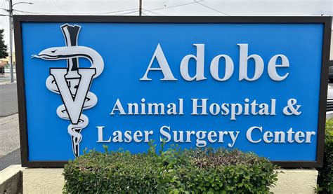 adobe animal hospital yuba city ca