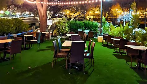 Unlock the Creative Secrets of Adobe Cantina: A Guide for Design Enthusiasts