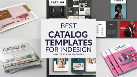 Adobe Indesign Catalogue Design Software