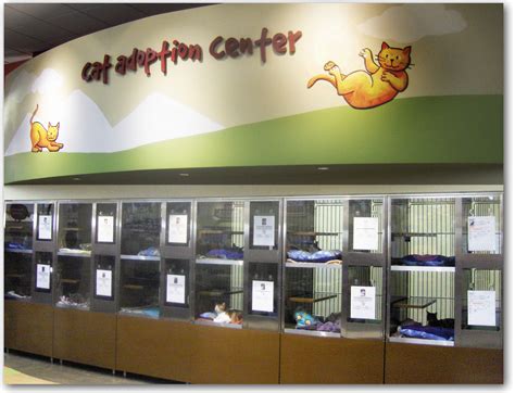 adoption centers for cats near me