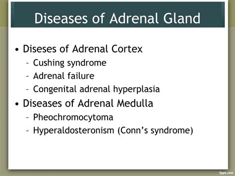 adrenal cortical diseases ppt