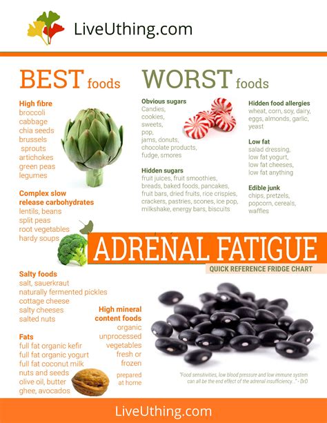 adrenal fatigue diet plan pdf