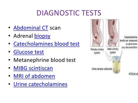 adrenal gland tests