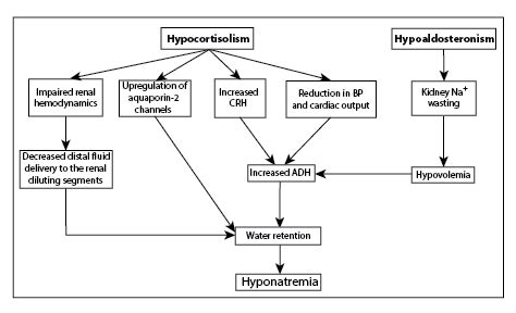 adrenal insufficiency causes hyponatremia
