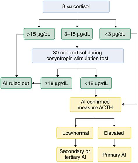 adrenal insufficiency diagnosis algorithm