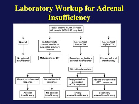 adrenal insufficiency lab workup