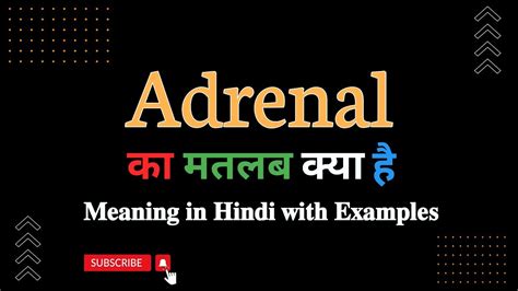 adrenal meaning in urdu