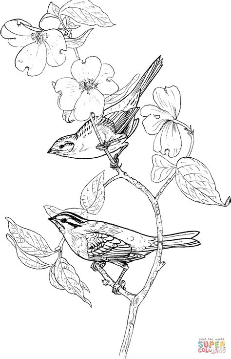 adult coloring pages sparrows