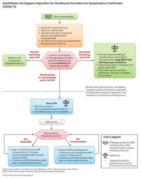 adult basic life support algorithm aha