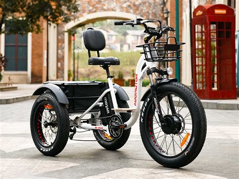 adult off road mid drive electric tricycle