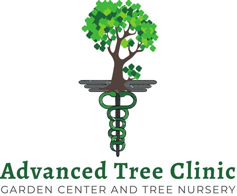 advanced tree clinic midland tx