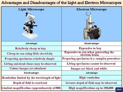 Advantages And Disadvantages Of Compound Electron Microscope