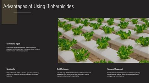 Advantages Of Bioherbicides