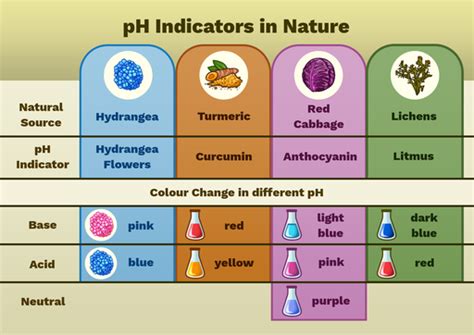 Advantages Of Using Indicators For Ph