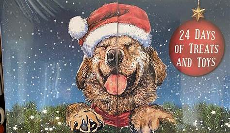 Personalised Filled Dog Advent Calendar By Afternoon Paws