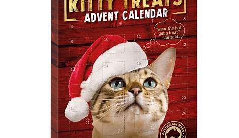 Reusable Cat Advent Holiday Calendar | Advent Calendars For Cats 2020