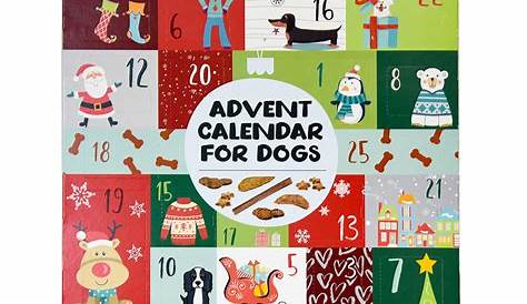 10 Best Advent Calendars for Dogs (2021) - Mirror Online