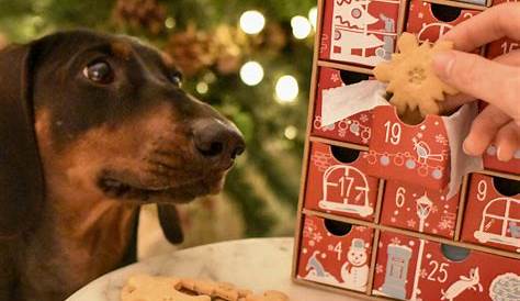 Handmade DOG ADVENT CALENDAR Puppy Advent Calendar by