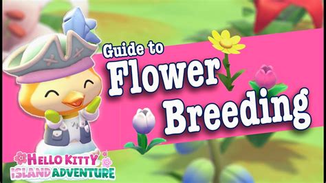 adventure flower only