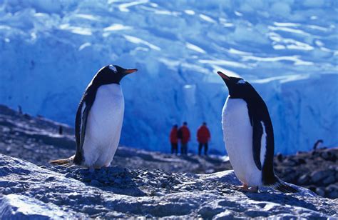 adventure life antarctica cruise