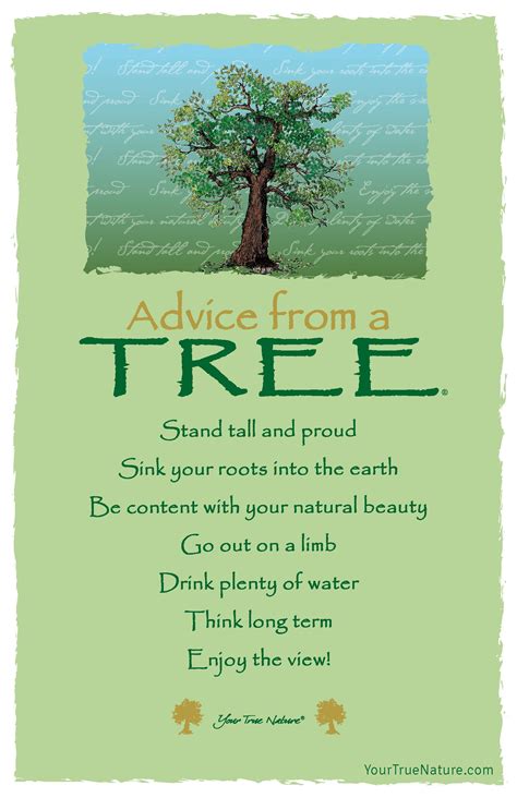 Advice from a tree... Tree, Discover the forest, Good advice