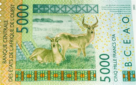 aed to cameroon currency