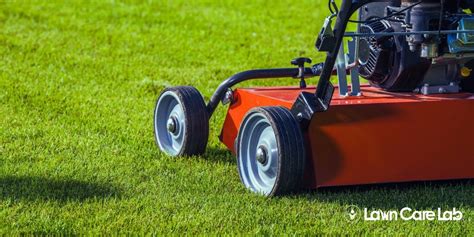 aerate st augustine grass