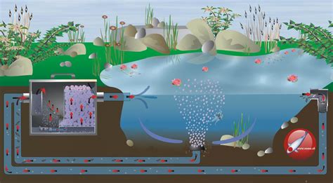 Aerated Bottom Drain Installation